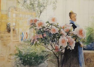 Rosa Bonad Rosa 90x136cm