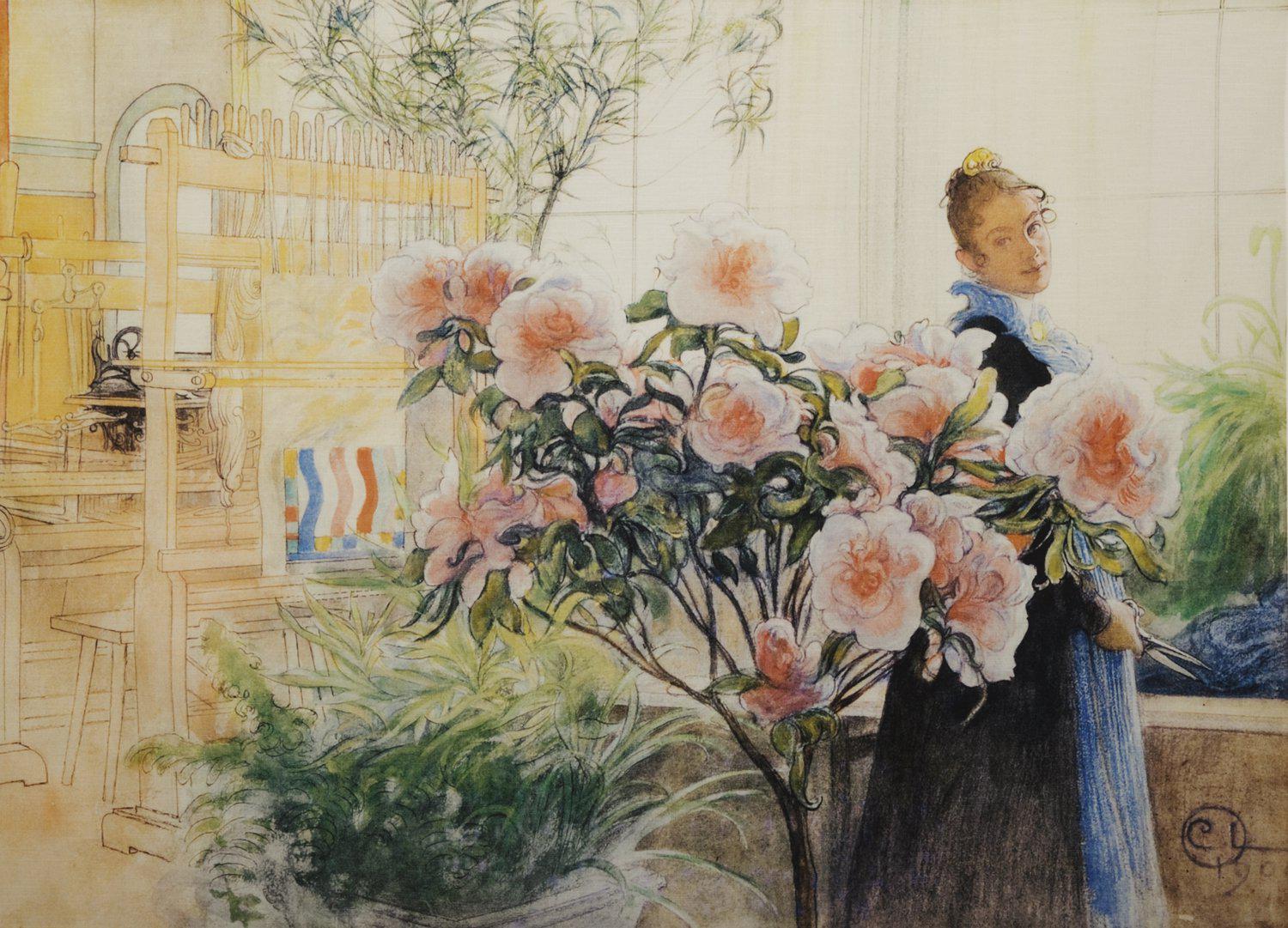 Rosa Bonad Rosa 90x136cm