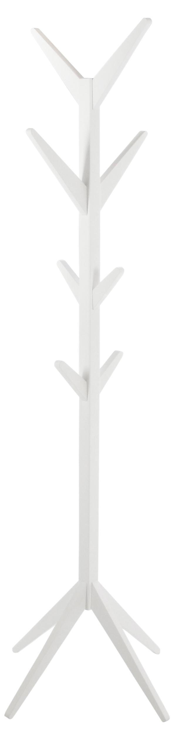 Ascot tamburmajor vit