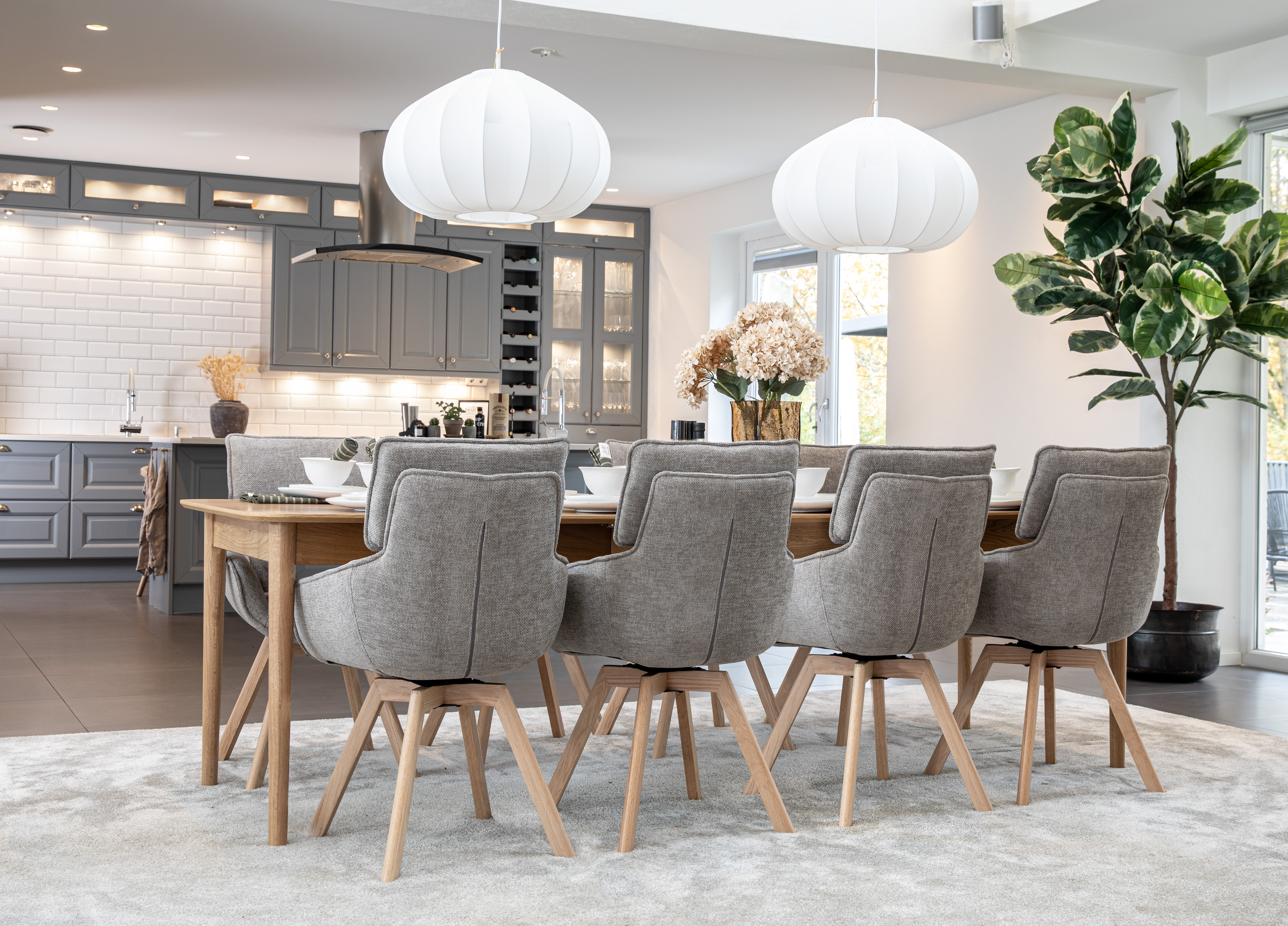 Oskar matgrupp ek 180/220/260cm med 8 Alessia stolar